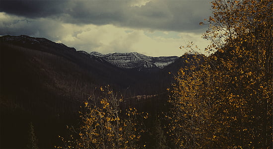 trees and mountains thumbnail