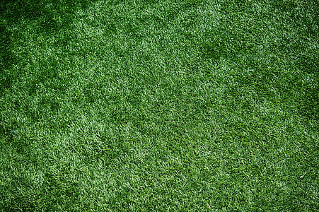 green grass field thumbnail