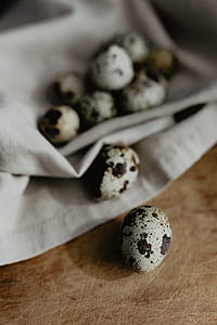 Quail eggs thumbnail