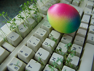 multicolored egg on top of computer keyboard with seed sprouts thumbnail