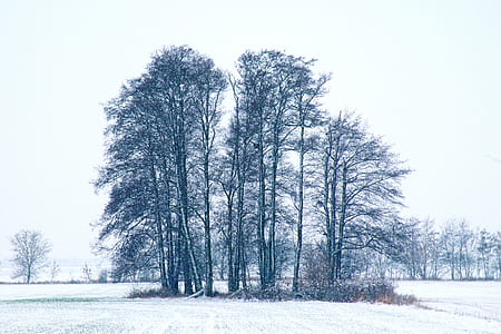 cold, snow, landscape, weather thumbnail
