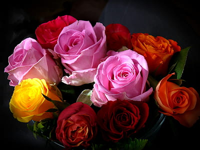 pink, yellow, and orange flowers thumbnail