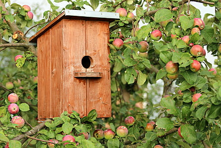 brown wooden birdhouse near green leaf tree at daytime thumbnail