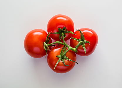 four red tomato fruits thumbnail