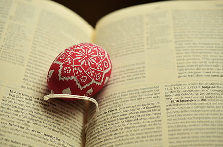 pink and white floral egg book end on opened book thumbnail