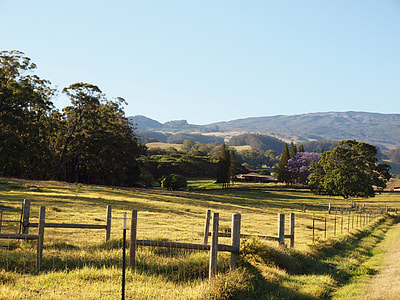Countryside Landscape in Hawaii thumbnail