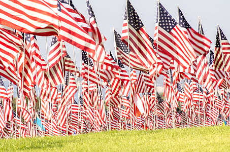 USA flags thumbnail