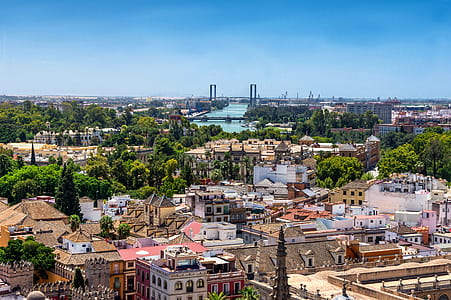 aerial photography of cityscape at daytime thumbnail