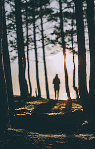 photography of person on forest thumbnail