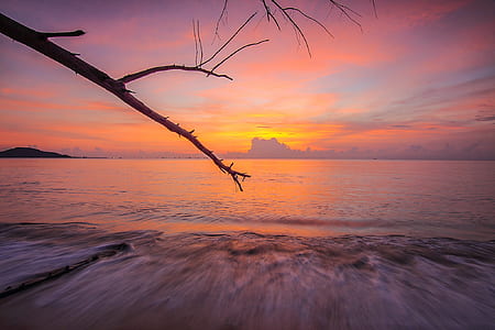 sea, dawn, nature, sky thumbnail