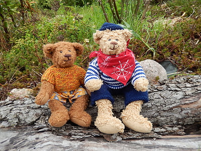 two brown teddy bears beside plants thumbnail