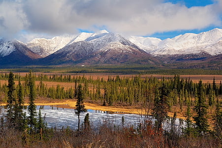 lake surrounded by trees near mountain thumbnail