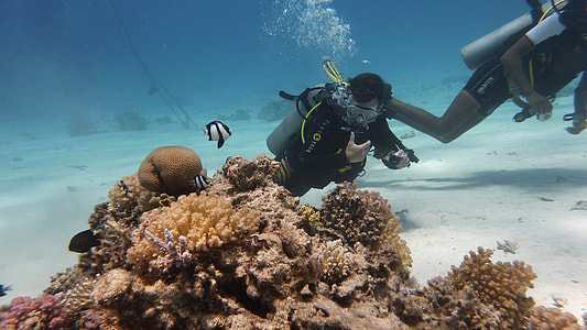 man underwater beside corals thumbnail