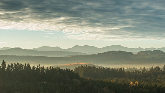 aerial photo of green leaf tree and mountains thumbnail