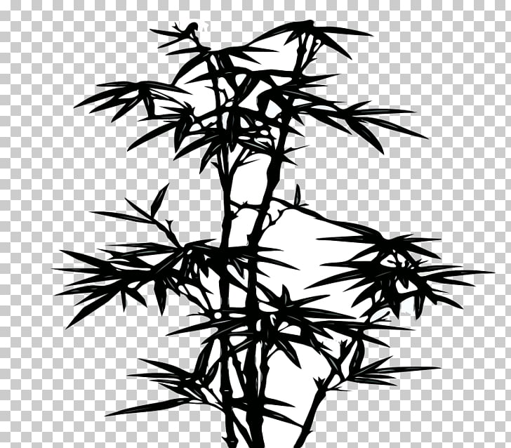 Bamboo Silhouette Wall Decal Png Clipart Free Cliparts