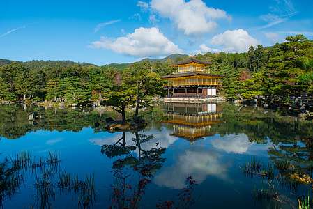 body of water and brown house thumbnail