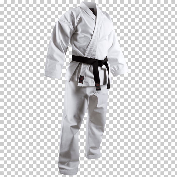 Judo BJJ Brown Belt Karate TKD Tokaido Martial Arts