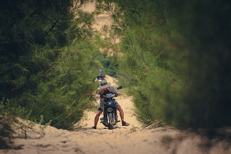 person in motorcycle passing by trees thumbnail