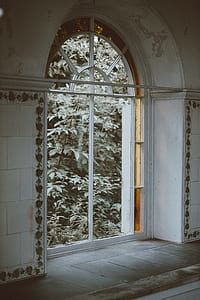 view of trees through glass window thumbnail