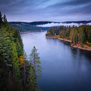 body of water between trees with mountain range nearby thumbnail