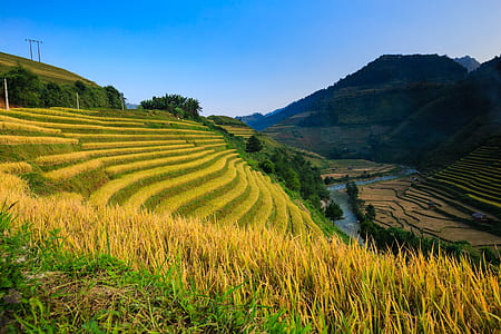 green field with mountain ahead at daytime thumbnail