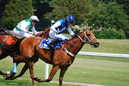 two men riding horses on field at daytime thumbnail