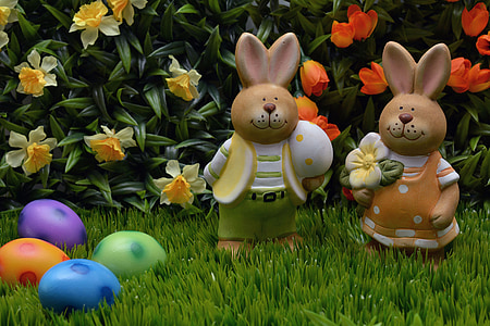 two bunny with Easter eggs on garden thumbnail