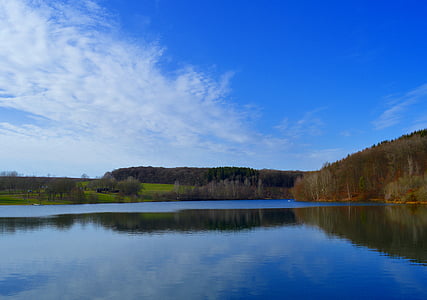 nature photography of trees and lake at daytime thumbnail