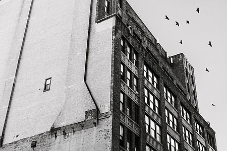 low angle photography of mid rise building thumbnail