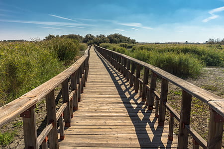 brown wooden dock under cloudy skies thumbnail
