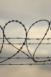 close-up photography of wire fence thumbnail