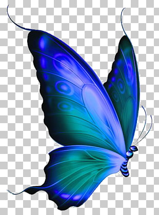 Monarch butterfly Morpho menelaus Blue , butterfly PNG clipart