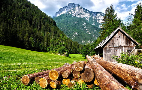 log near bard landscape photography thumbnail