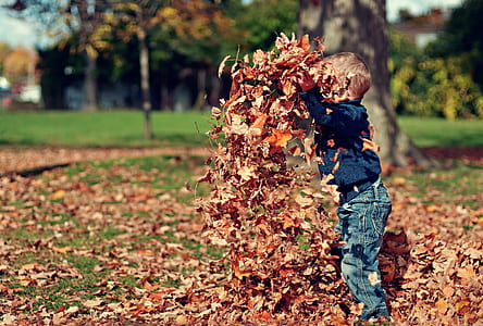 toddler boy playing dried leaf near tree trunk thumbnail