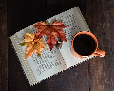 red ceramic mug on top on book thumbnail