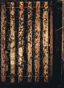 brown pallet thumbnail
