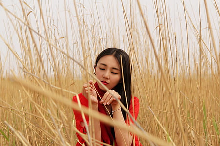 women's red shirt sitting in middle of withered grass field thumbnail