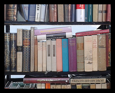 book lot on the bookshelf thumbnail