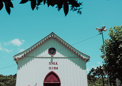 white wooden cathedral surround by trees thumbnail