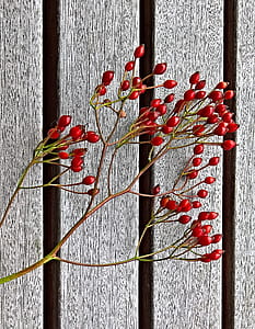 red berries on gray wooden surface thumbnail