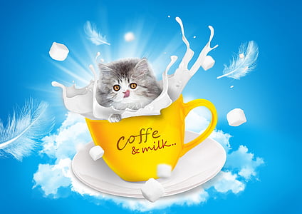 cat illustration thumbnail