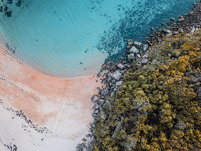 aerial photo of beach thumbnail