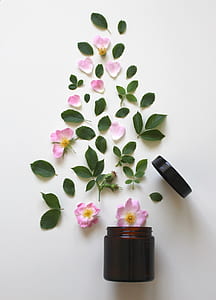 pink petal flower beside brown glass jar thumbnail