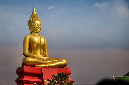 Buddha Statue in Thailand thumbnail