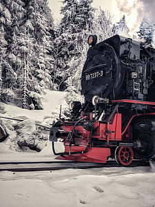 red and black train near trees at daytime thumbnail