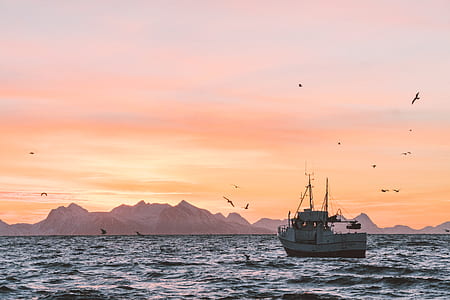 white outboard boat on body of water under gray sky thumbnail