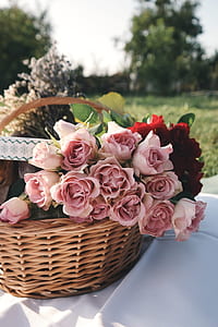 pink roses arrangement on brown wicker basket thumbnail