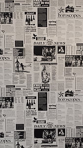 Daily News newspaper thumbnail