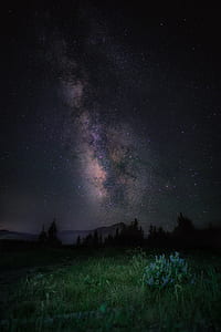 photo of cosmos during night time thumbnail