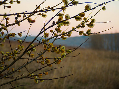 The Basis Of, Easter Holidays thumbnail
